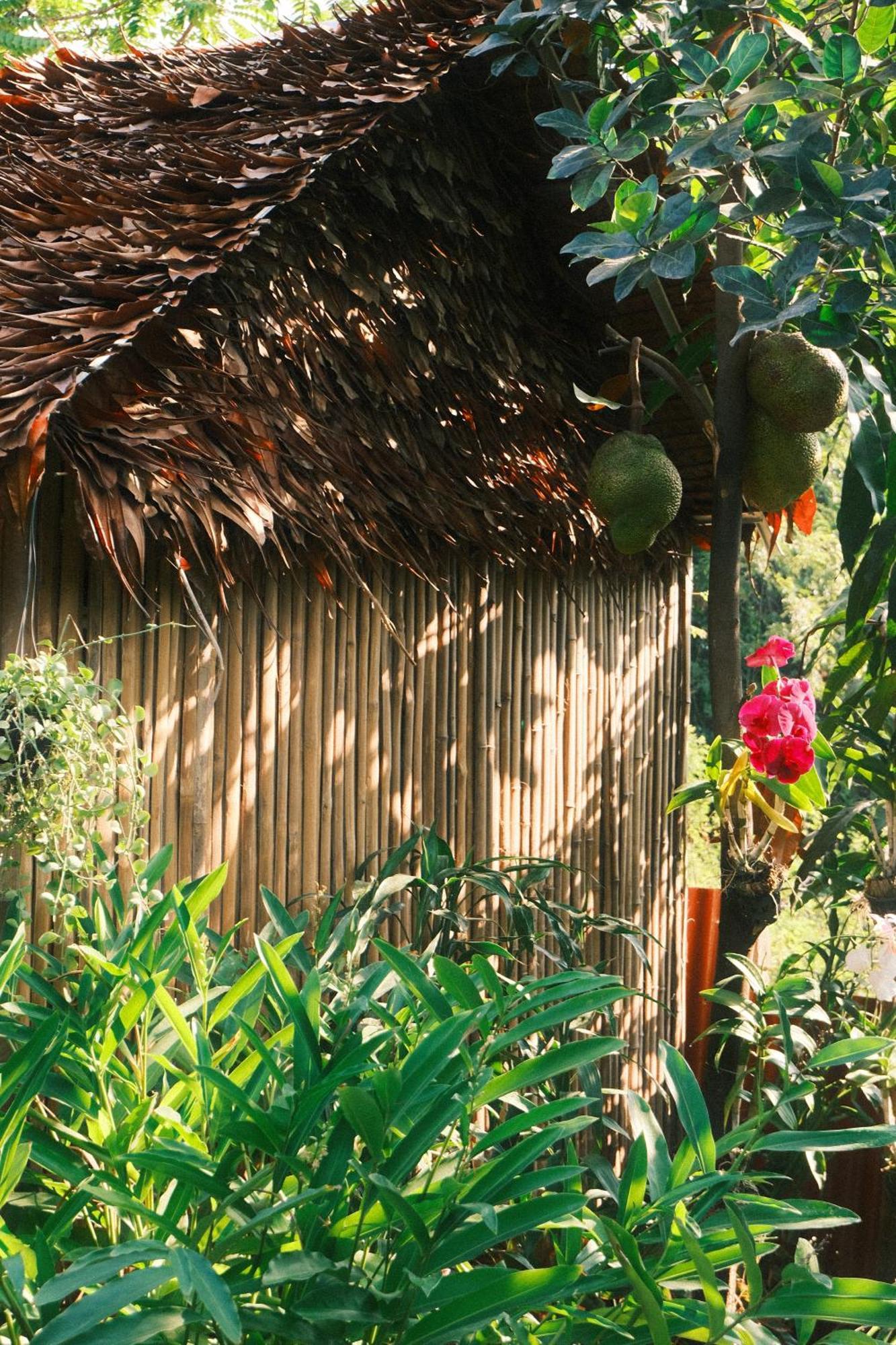Siem Reap Homesteading II المظهر الخارجي الصورة
