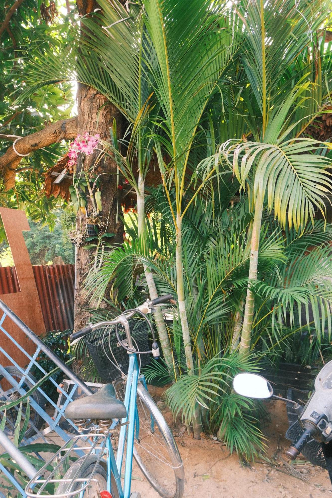 Siem Reap Homesteading II المظهر الخارجي الصورة